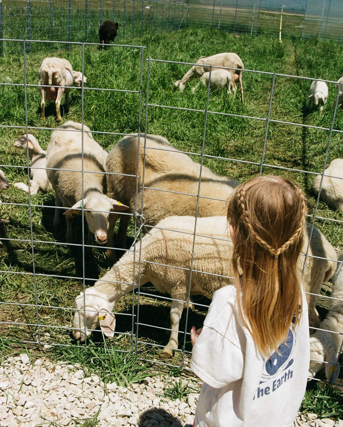 Summer on the farm so far