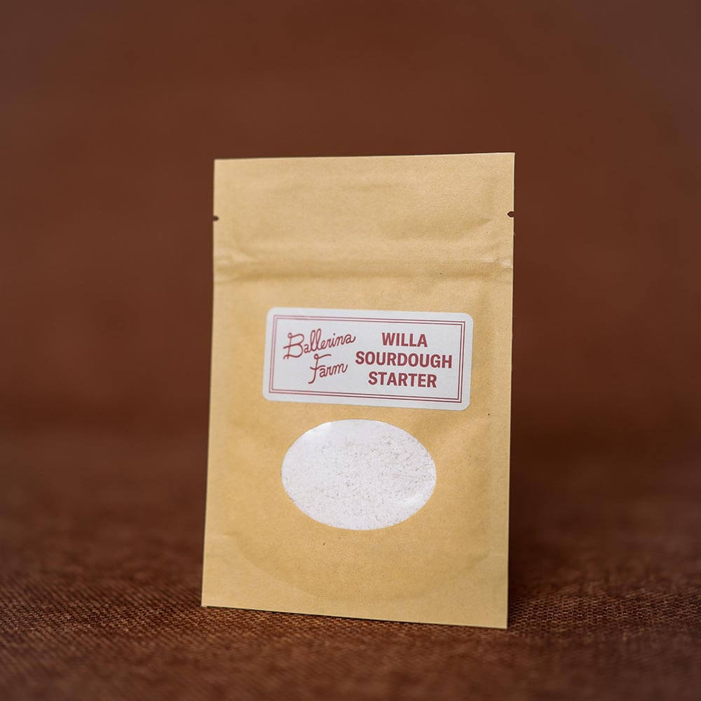 Sourdough Starter Kit