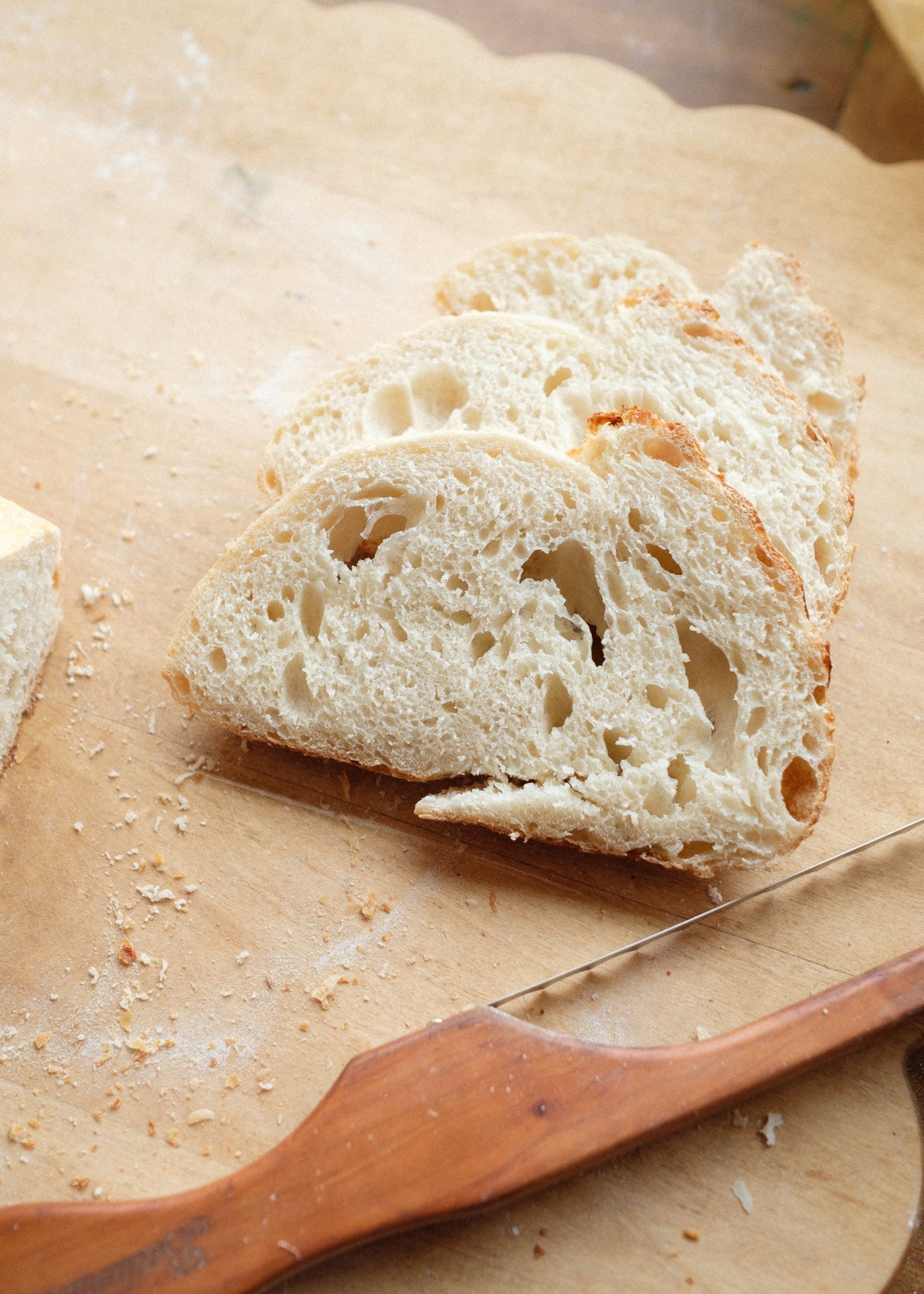 Willa Sourdough Starter