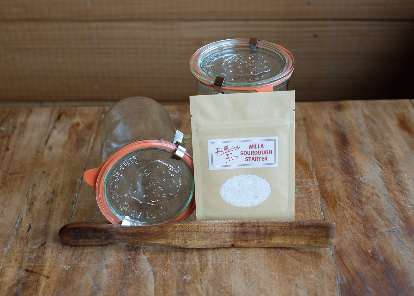 Willa Sourdough Starter