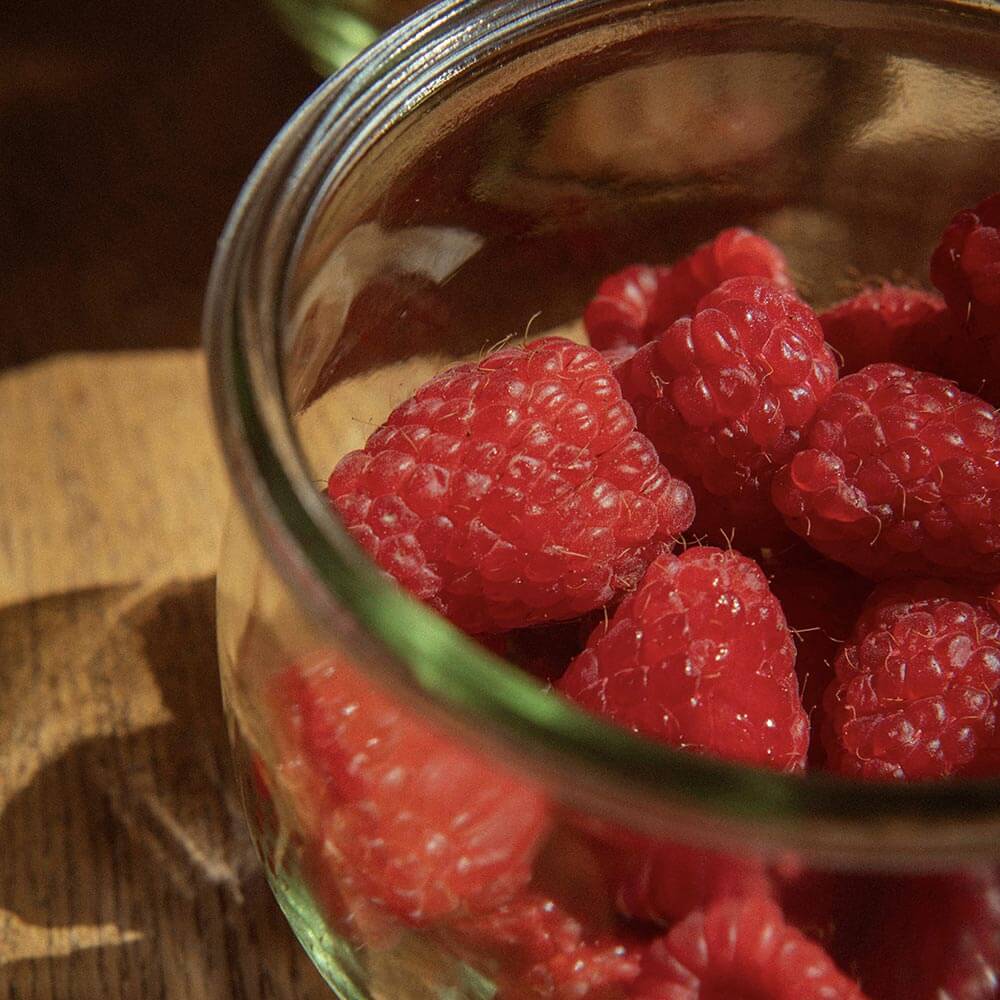 Tulip Weck Jars (Set of 3)